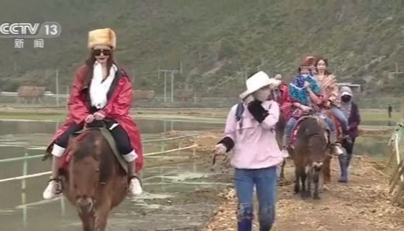 新疆旅游选购指南：探索神奇的美丽画卷