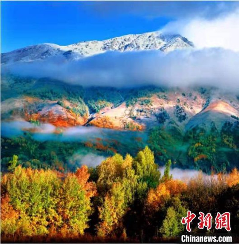 新疆之旅：感受多彩自然与文化